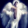 Divine Kid