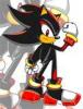 Shadow the Hedgehog fan#1