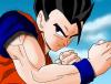 animefr33k