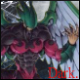 Dark Duelist2