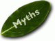 Myths Voynich