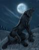truedarkwolf