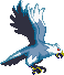Zyrow