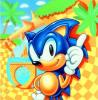 sonic123456