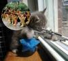 A_Fat_Cat
