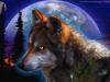 Wolf130