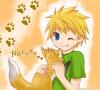 Lonely Fox
