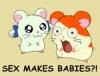 Hamtaro