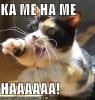 crazyone