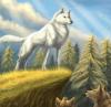 Grey Wolf
