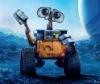 walle6135