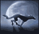 SkyScore