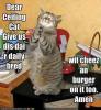 Lolcatguy17