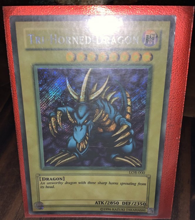 card4.jpg