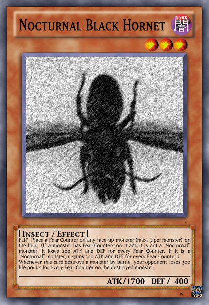 449217206_BlackHornetCard.jpg.5fb5e984e89012ab5077d3dc64cc6abf.jpg