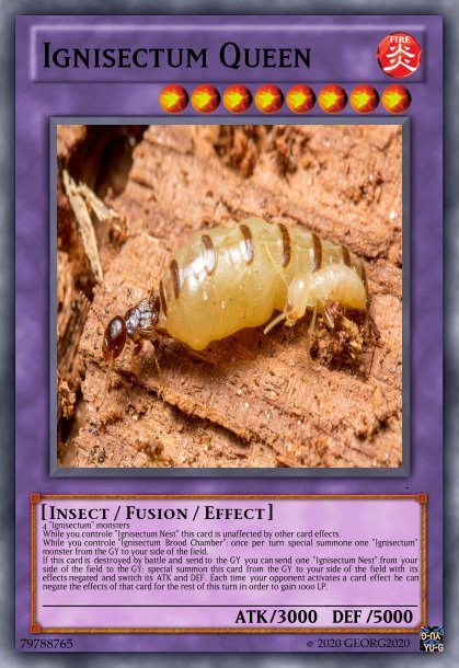 110793672_IgnisectumFusion8Queen.jpg.ba79a828ee5fecf7e63af7a52f01978b.jpg