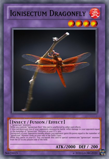 1332148758_IgnisectumFusion4Dragonfly.jpg.87ef5b4e16a1db2069140488b946d4f3.jpg