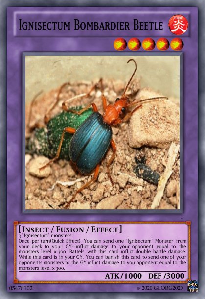 579010751_IgnisectumFusion5BombardierBeetle.jpg.3f0d6680c55e224d255bd6061a11badb.jpg