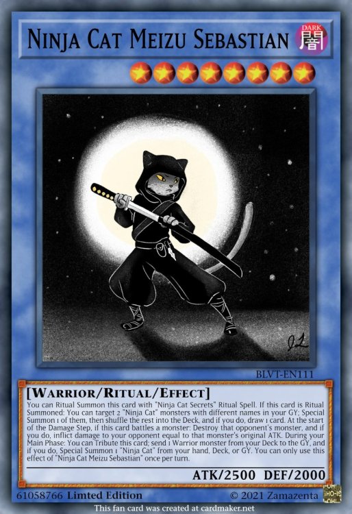 1950669766_NinjaCatMeizuSebastian.thumb.jpeg.5fafe2402532f9b88e957767131eb57d.jpeg
