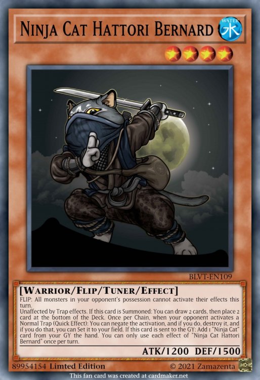 370221321_NinjaCatHattoriBernard.thumb.jpeg.fce341526fbe8ba1026d256bc9d03bec.jpeg