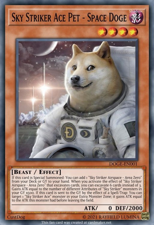 1859383266_SkyStrikerAcePet-SpaceDogeF.thumb.jpg.261d102d00d54d306a6a89e60c401e59.jpg