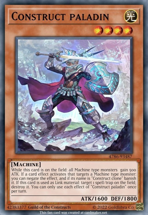 Construct paladin.jpeg