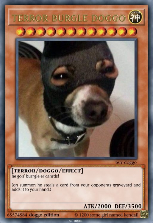 terror burgle doggo.jpeg
