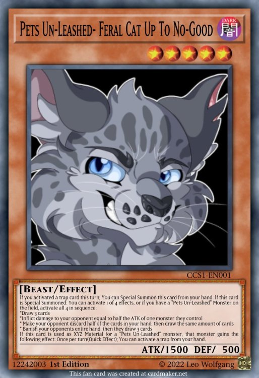 Pets Un-Leashed- Feral Cat Up To No-Good.jpeg