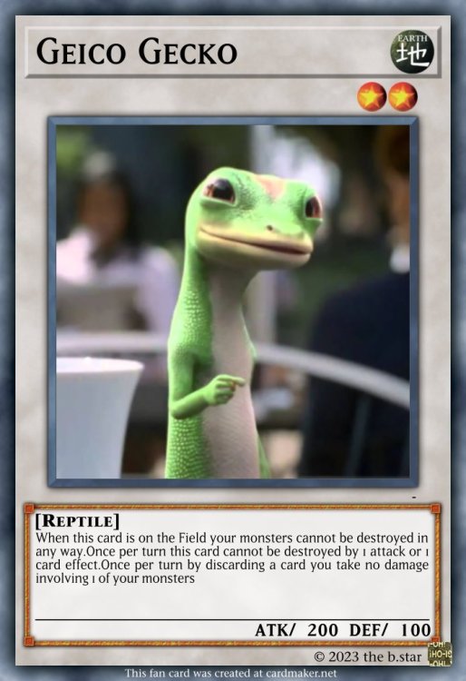 Geico Gecko.jpeg