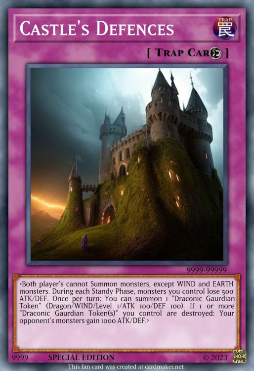 Castle's Defences.jpeg