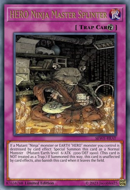 HERO Ninja Master Splinter.jpeg