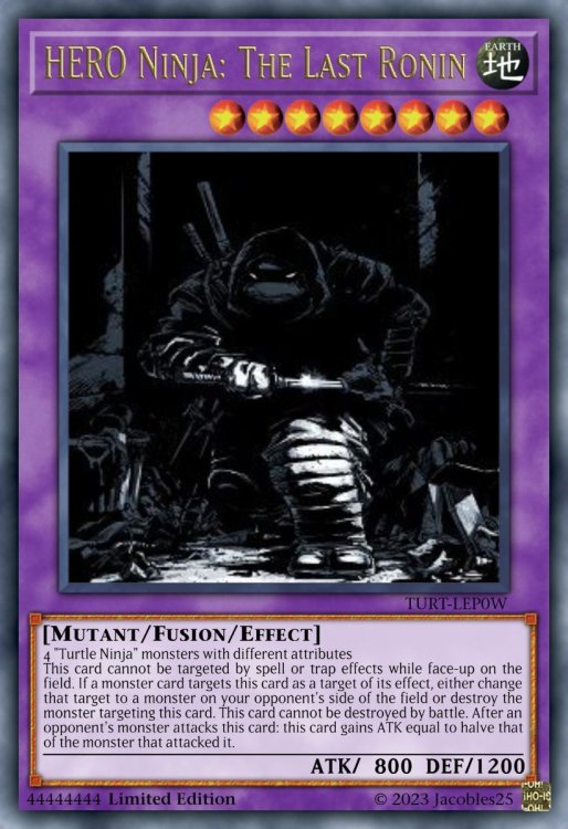 HERO Ninja_ The Last Ronin.jpeg