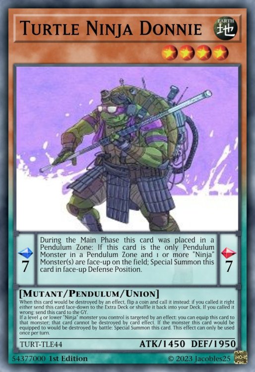 Turtle Ninja Donnie.jpeg