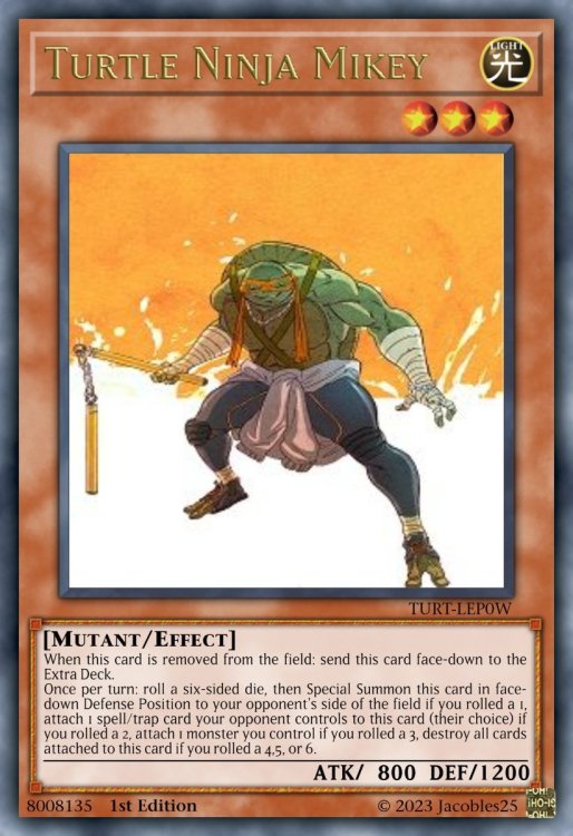 Turtle Ninja Mikey.jpeg