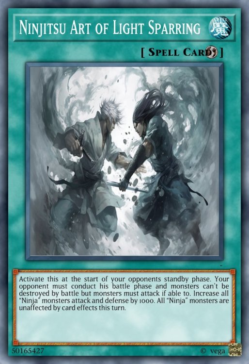 Ninjitsu Art of Light Sparring .jpeg