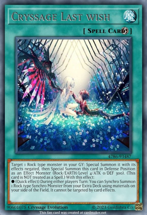 Cryssage Last wish.jpeg