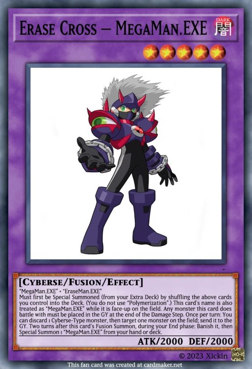 Erase Cross – MegaMan.EXE.jpeg