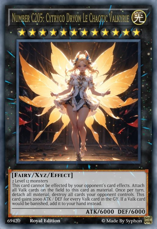 Number C205_ Cytryco Dryon Le Chaotic Valkyrie.jpeg