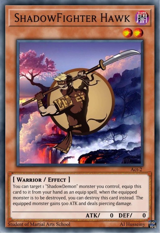 2 Hawk.jpg