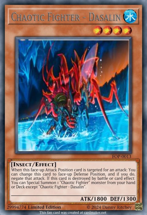Chaotic Fighter - Dasalin.jpeg