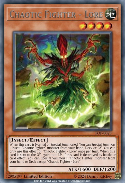 Chaotic Fighter - Lore.jpeg