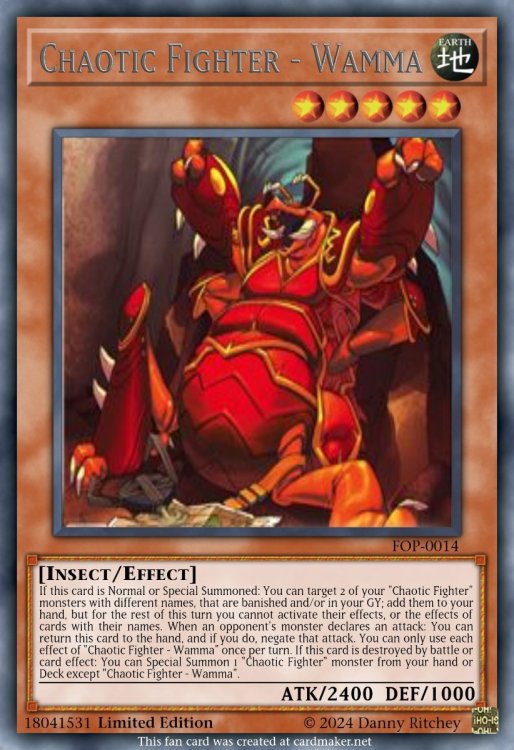 Chaotic Fighter - Wamma.jpeg