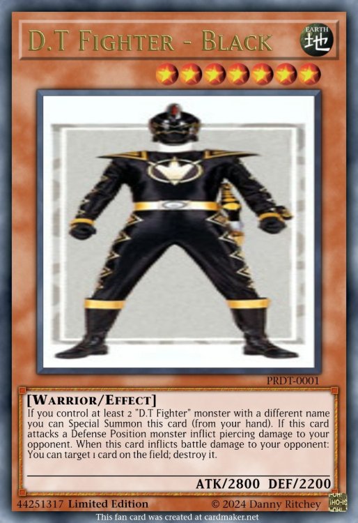 D.T Fighter - Black.jpeg