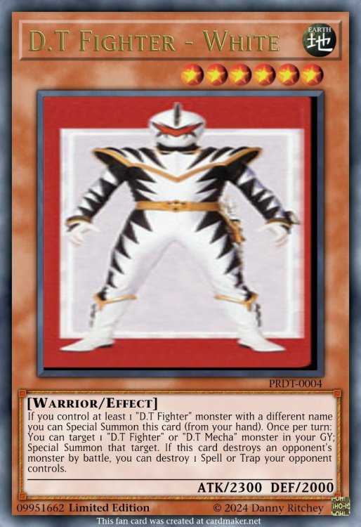 D.T Fighter - White.jpeg