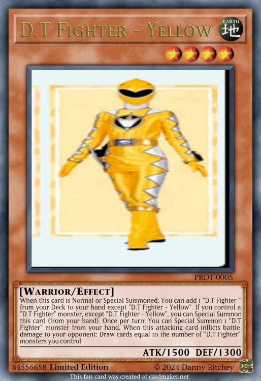 D.T Fighter - Yellow.jpeg