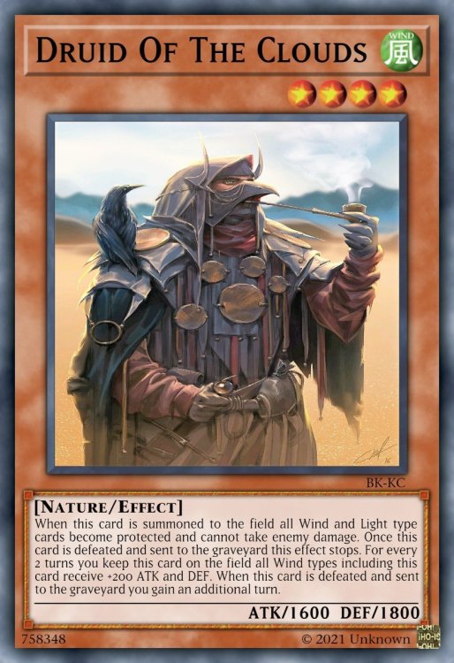 DruidOfTheClouds.thumb.jpeg.d367c506a99794faa4df40a7ee487879.jpeg