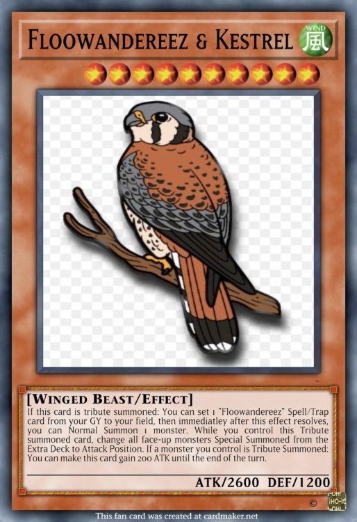 FloowandereezKestrel.thumb.jpeg.41c67ecc293030be5ee917838b820748.jpeg