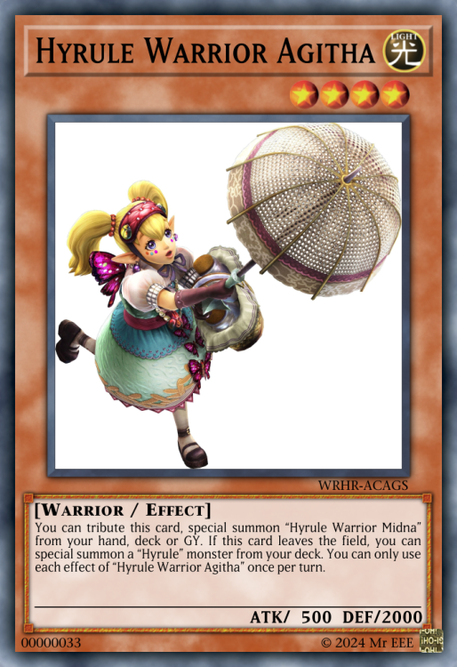 Hyrule Warrior Agitha.jpeg .png