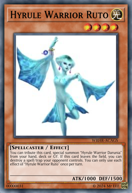 Hyrule Warrior Ruto.jpeg .png