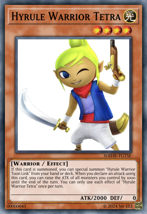 Hyrule Warrior Tetra.jpeg .png